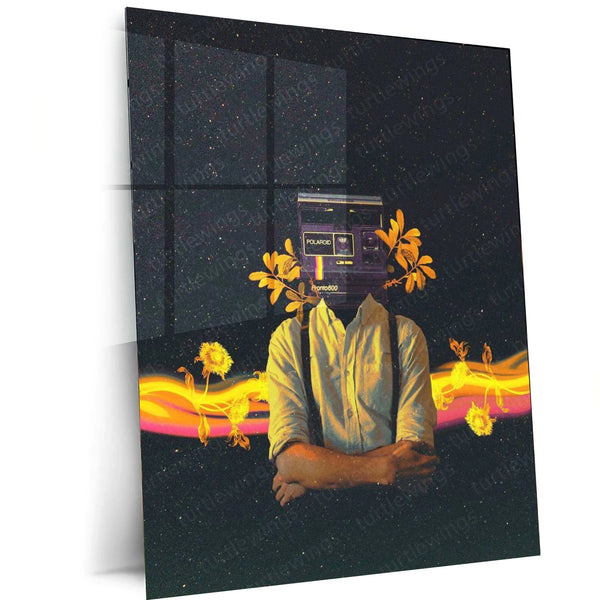 GENERAL AESTHETICS - TURTLEWINGS