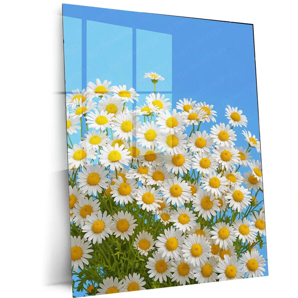 Nature Metal Poster | Blooming Daisies Under Clear Blue Sky – Nature Metal Poster | Floral Wall Frame
