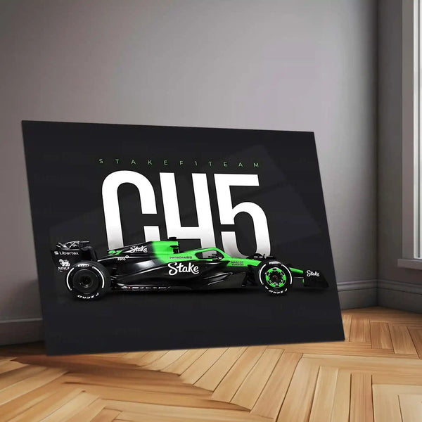 Stake F1 Team – C45 Livery Metal Frame | 2024 Formula 1 Car Wall Art - TURTLEWINGS