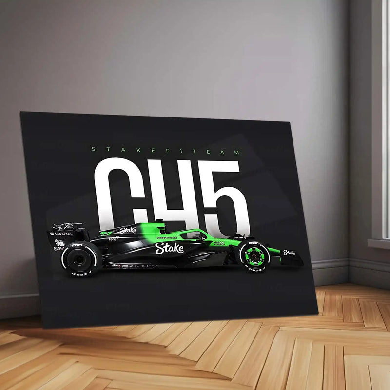 Stake F1 Team – C45 Livery Metal Frame | 2024 Formula 1 Car Wall Art - TURTLEWINGS