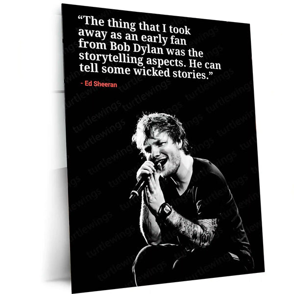 Ed Sheeran – Microphone Moment Black & White Concert Metal Poster | Music Wall Frame