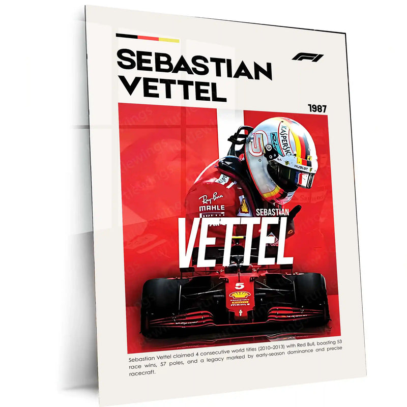 Sebastian Vettel Metal Frame | 4-Time Formula 1 World Champion Wall Art - TURTLEWINGS