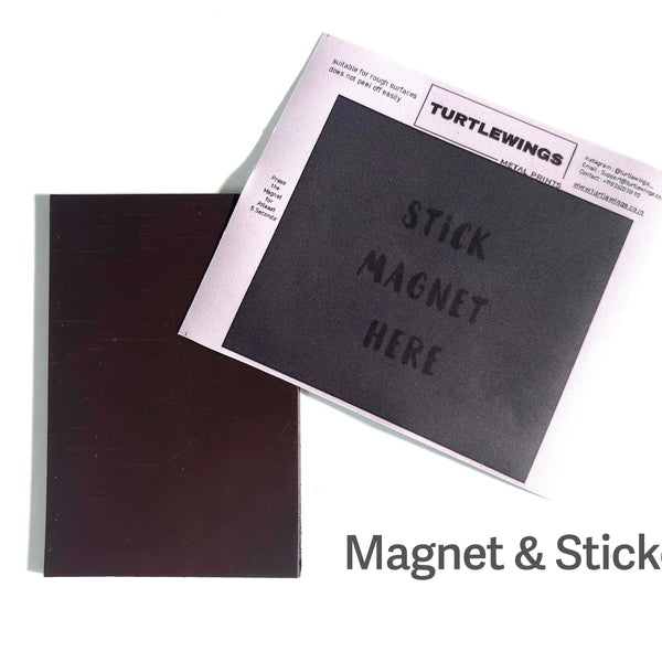 1 Pair of Wall Magnets & Adhesive Sticker - TURTLEWINGS