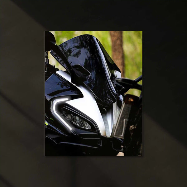 Kawasaki Ninja ZX-10R Neon LED Metal Frame | Indian Superbike Glory in LED Glow