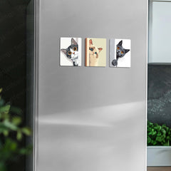 Fridge Magnets |Cats Art Fridge Magnet Set – Set of 3 & 10 Aesthetic Cat-Themed Metal Magnets (60x80mm)