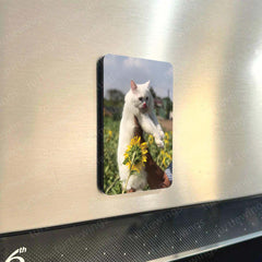 Fridge Magnets |Cats Art Fridge Magnet Set – Set of 3 & 10 Aesthetic Cat-Themed Metal Magnets (60x80mm)