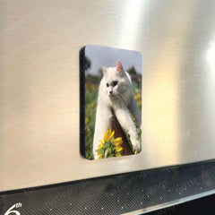 Fridge Magnets |Cats Art Fridge Magnet Set – Set of 3 & 10 Aesthetic Cat-Themed Metal Magnets (60x80mm)