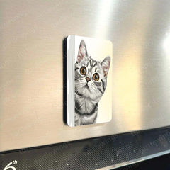 Fridge Magnets |Cats Art Fridge Magnet Set – Set of 3 & 10 Aesthetic Cat-Themed Metal Magnets (60x80mm)