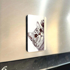 Fridge Magnets |Cats Art Fridge Magnet Set – Set of 3 & 10 Aesthetic Cat-Themed Metal Magnets (60x80mm)