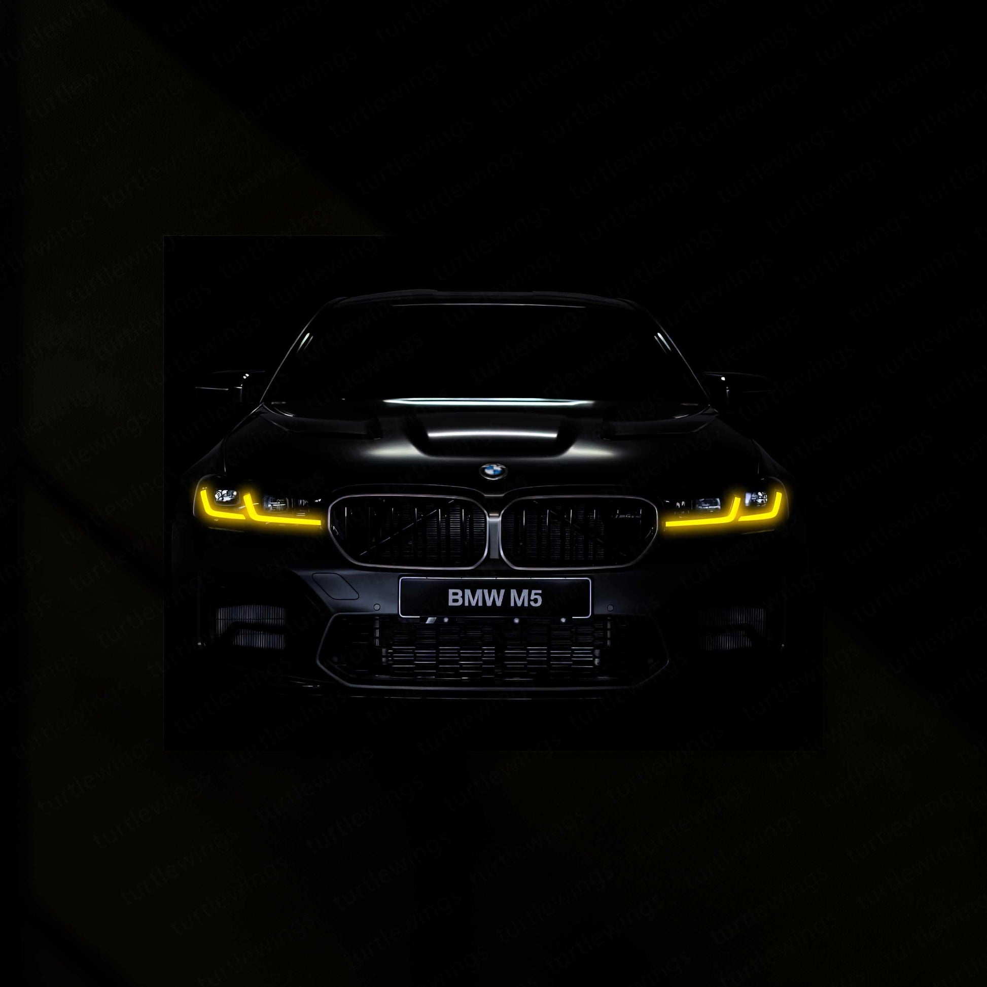 BMW M5 Neon LED Metal Frame - TURTLEWINGS 