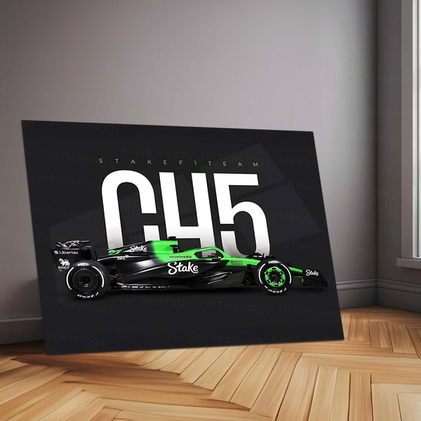 Stake F1 Team – C45 Livery Metal Frame | 2024 Formula 1 Car Wall Art - TURTLEWINGS 