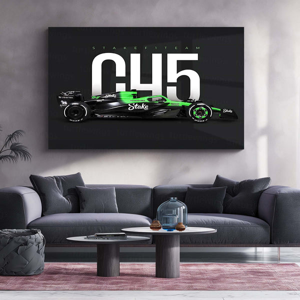 Stake F1 Team – C45 Livery Metal Frame | 2024 Formula 1 Car Wall Art - TURTLEWINGS 