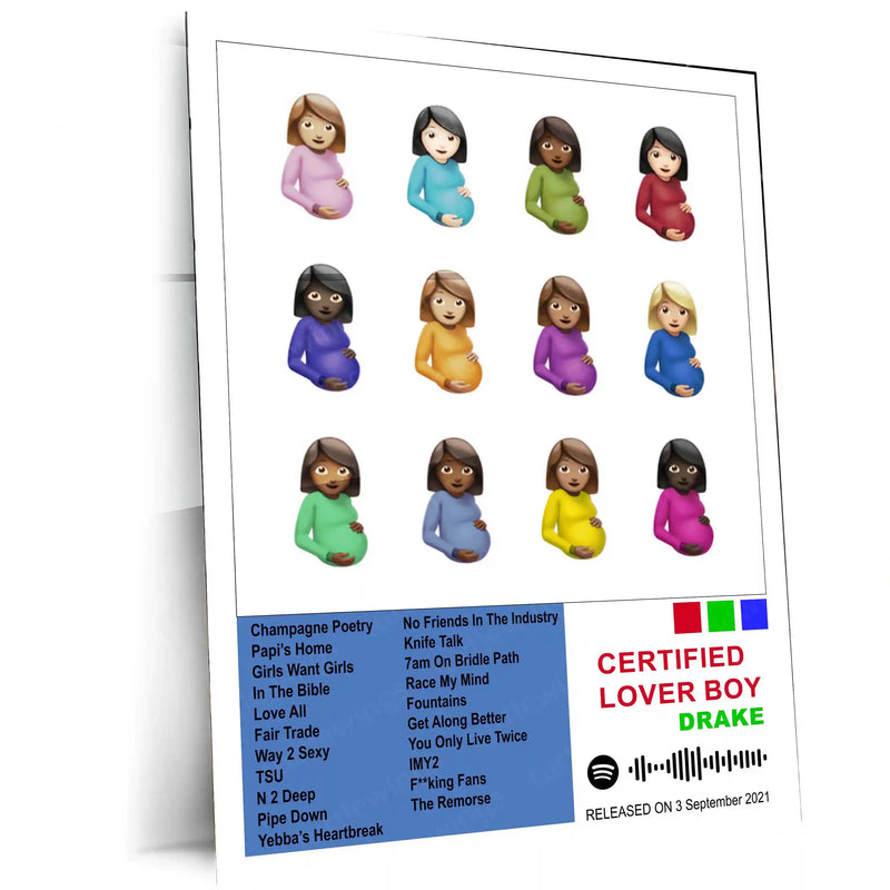 Drake Complete Collection | Set of 11 | Set of 8 | Set of 4 | Album Posters Metal Frames Global Hits. Moody Aesthetics. Hip-Hop Royalty on Your Walls. - TURTLEWINGS 