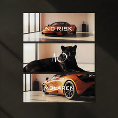 Motivational Metal Poster – Set of 3 | No Risk. No McLaren. | Luxury Hustle Wall Art - TURTLEWINGS 
