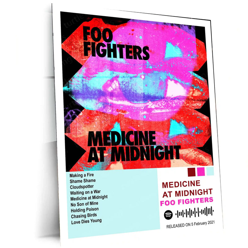 Foo Fighters – Complete Album Collection | Set of 11 | Set of 8 | Set of 4 | Premium Metal Poster - TURTLEWINGS 
