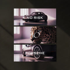 Motivational Metal Poster – Set of 3 | No Risk. No Porsche. | Luxury Hustle Wall Art - TURTLEWINGS 