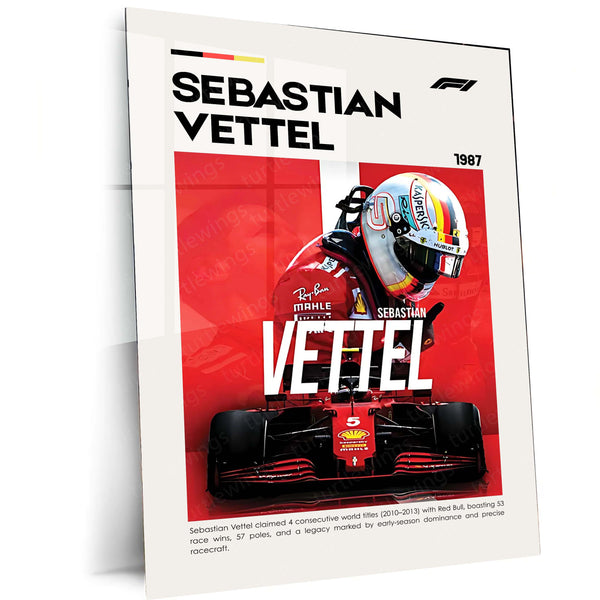 Sebastian Vettel Metal Frame | 4-Time Formula 1 World Champion Wall Art - TURTLEWINGS 