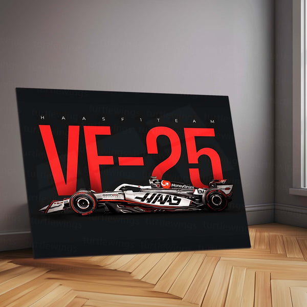 Haas VF-25 Metal Frame | 2024 Formula 1 Car Wall Art - TURTLEWINGS 