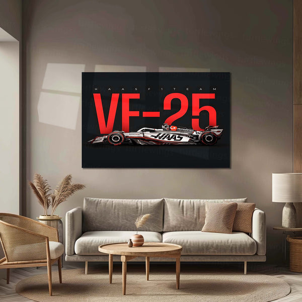 Haas VF-25 Metal Frame | 2024 Formula 1 Car Wall Art - TURTLEWINGS 