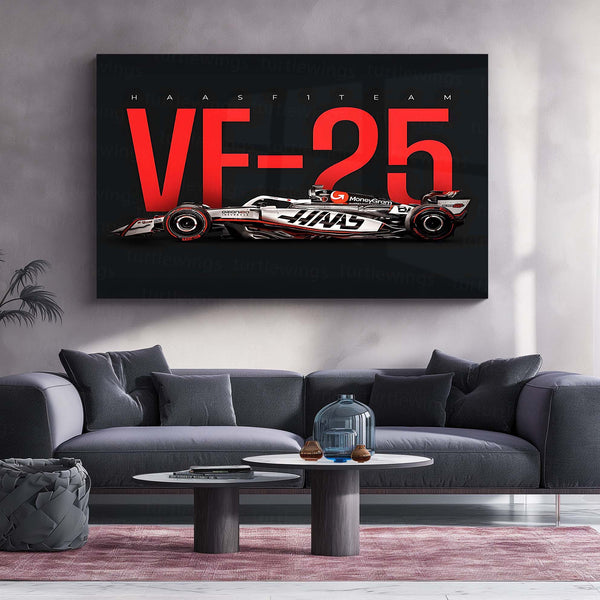 Haas VF-25 Metal Frame | 2024 Formula 1 Car Wall Art - TURTLEWINGS 