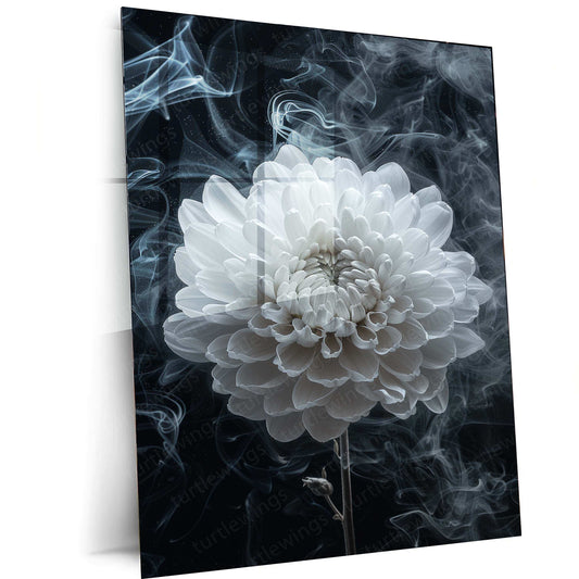 White Chrysanthemum Line Art on Black Background – Elegant Metal Poster - TURTLEWINGS 