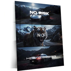 Quote Metal Poster | No Risk, No Koenigsegg Metal Frame Extreme Performance, Hypercar Legacy & Fearless Innovation Wall Art | Ultimate Speed Quote Metal Poster