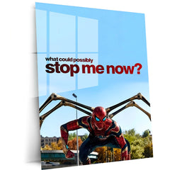Quote Metal Poster | Spider-Man – What Could Possibly Stop Me Now? Metal Frame Unstoppable Mindset, Limitless Power & Modern Hero Motivation Wall Art | Superhero Quote Metal Poster